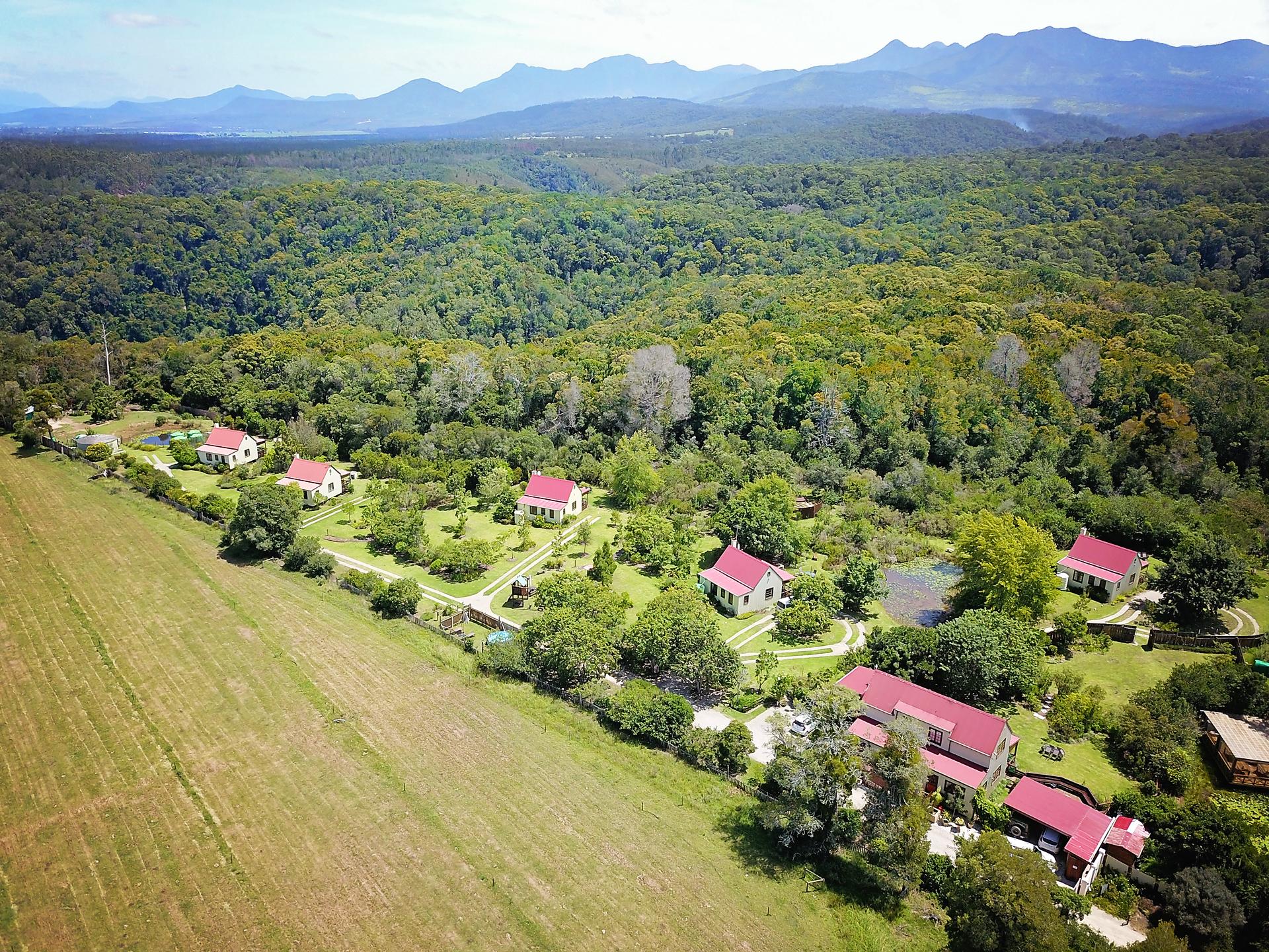 ฟอเรสต์ เอดจ์ เนเจอร์ เลิฟเวอร์ รีทรีต Hotel Rheenendal ภายนอก รูปภาพ