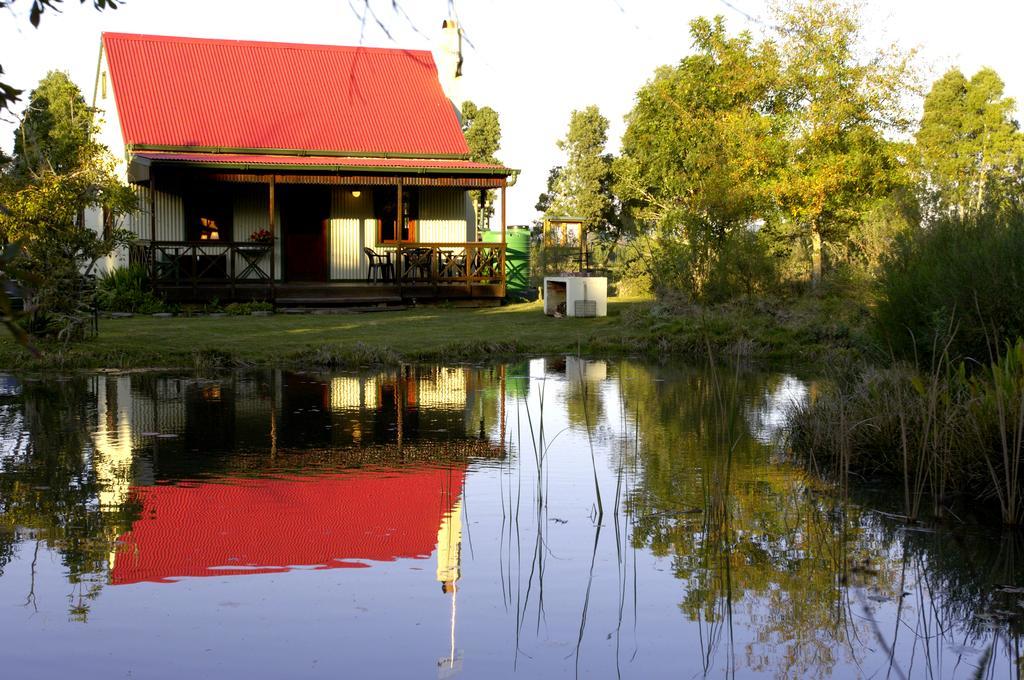 ฟอเรสต์ เอดจ์ เนเจอร์ เลิฟเวอร์ รีทรีต Hotel Rheenendal ภายนอก รูปภาพ