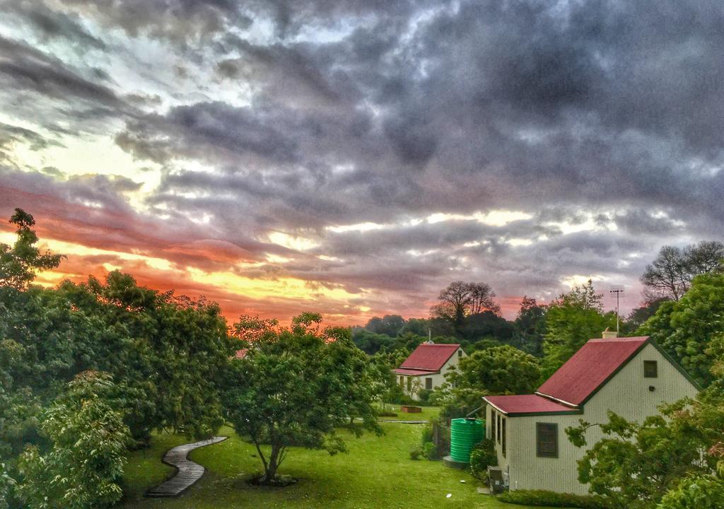 ฟอเรสต์ เอดจ์ เนเจอร์ เลิฟเวอร์ รีทรีต Hotel Rheenendal ภายนอก รูปภาพ