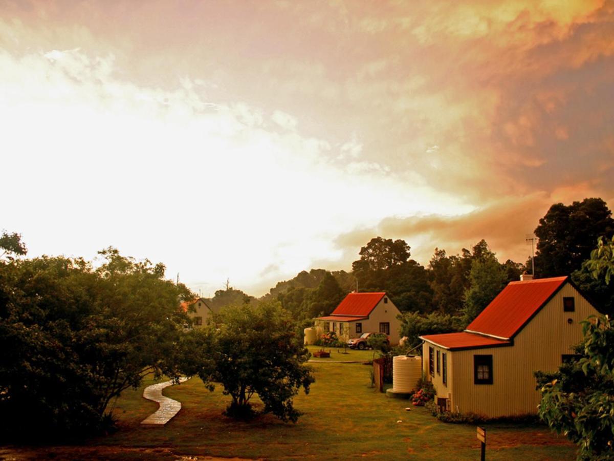ฟอเรสต์ เอดจ์ เนเจอร์ เลิฟเวอร์ รีทรีต Hotel Rheenendal ภายนอก รูปภาพ
